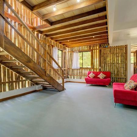Samara Tarantela Houses, Casa Bambu Dış mekan fotoğraf